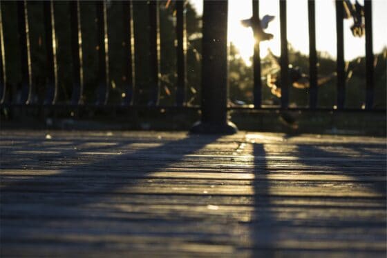 How To Cover Patches of Dirt in Your Yard - build a deck