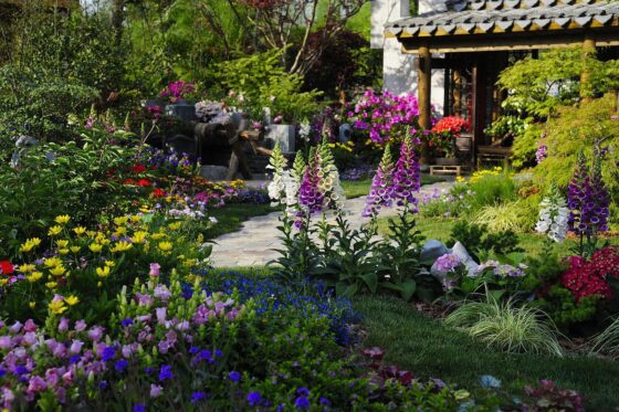 How To Cover Patches of Dirt in Your Yard - plant a garden