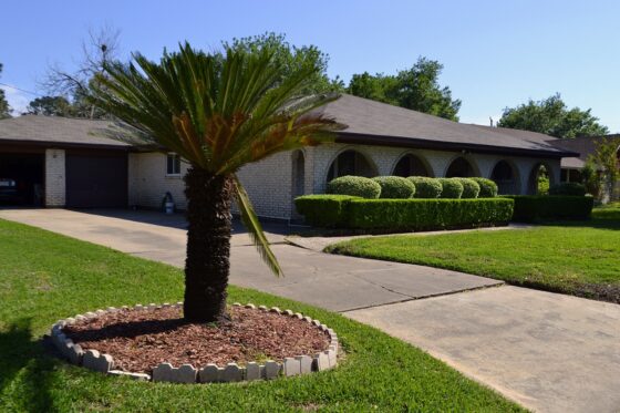 How To Cover Patches of Dirt in Your Yard - use mulch to cover