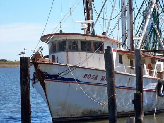 sunny places you should visit this summer - apalachicola fl