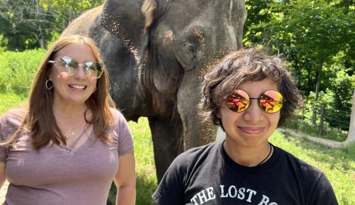 things to do in French Lick right now Wilstem elephant safari