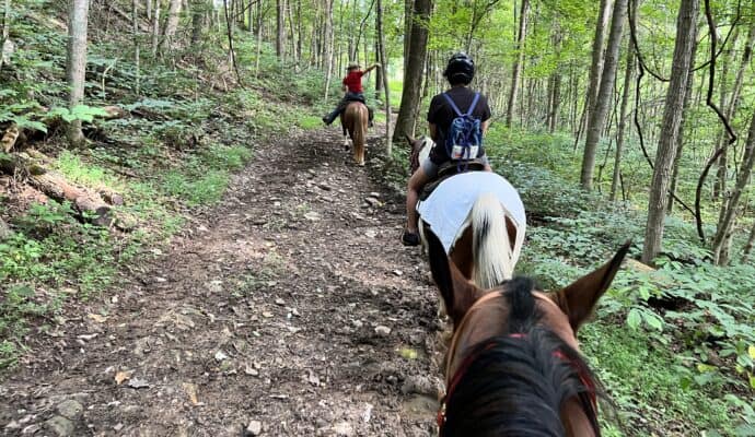 things to do in French Lick right now horseback ride