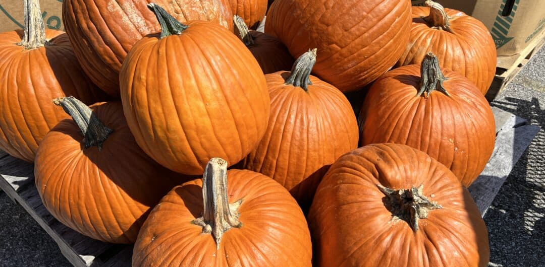 20+ Fun Things to Do in Jasper IN and Dubois County in Fall Sand and Snow