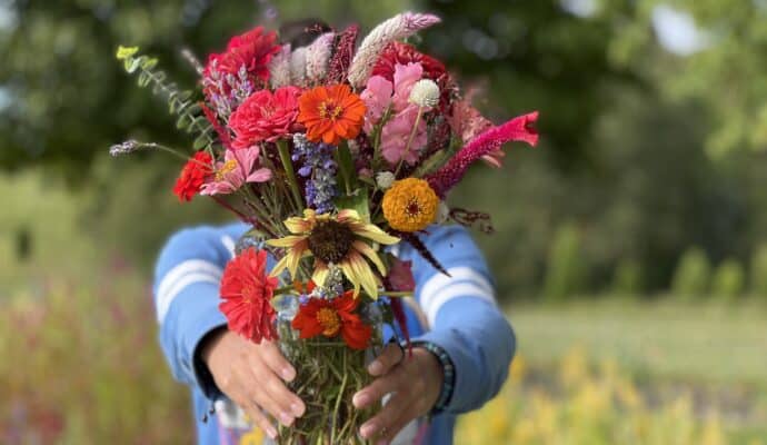 Fun Things to Do in Jasper IN and Dubois County in Fall Pretty Bird Farm wildflowers