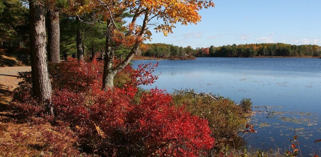Places To Camp in the US During the Fall Season - Acadia National park