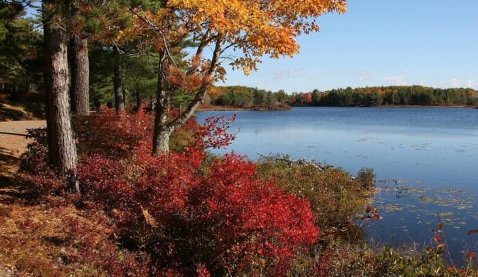 Places To Camp in the US During the Fall Season - Acadia National park