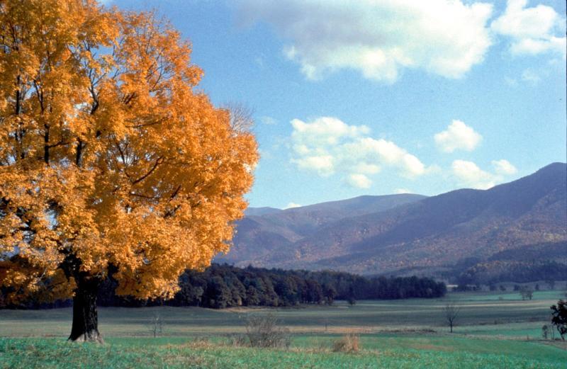 Places To Camp in the US During the Fall Season - Cades Cove Great Smoky Mountains