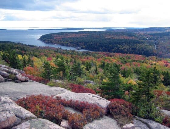 Places To Camp in the US During the Fall Season - acadia