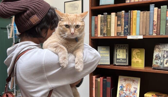 Things to Do in Madison Indiana - shop Downtown Madison - bookstore with cat