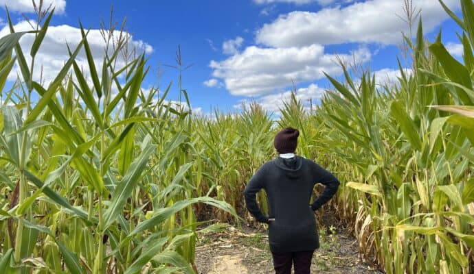Things to do in Jeffersonville and Southern Indiana in Fall - Huber's corn maze