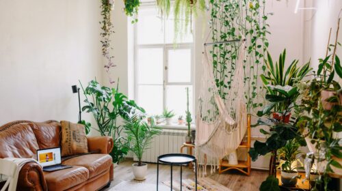 How To Make a Rental Property Feel Like Home - colorful decor