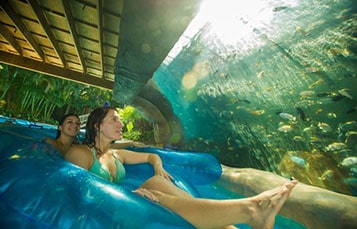 thrilling waterparks around the world - aquatica orlando