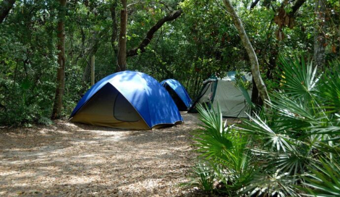 How To Stay Safe During a Camping Trip - camping in a jungle setting