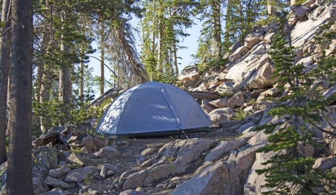 How To Stay Safe During a Camping Trip - camping in the woods