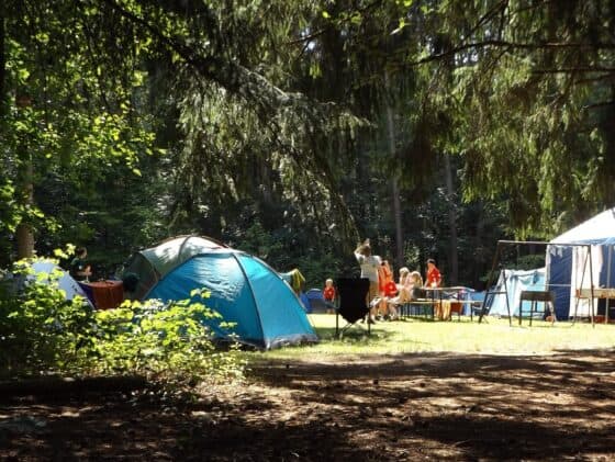 camping solo with kids - How To Stay Safe During a Camping Trip - summer camping