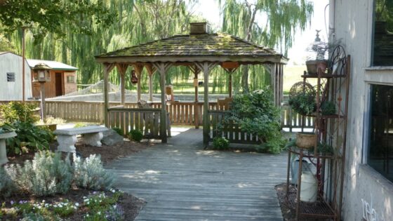 How To Improve the Value of Your Backyard - provide shade