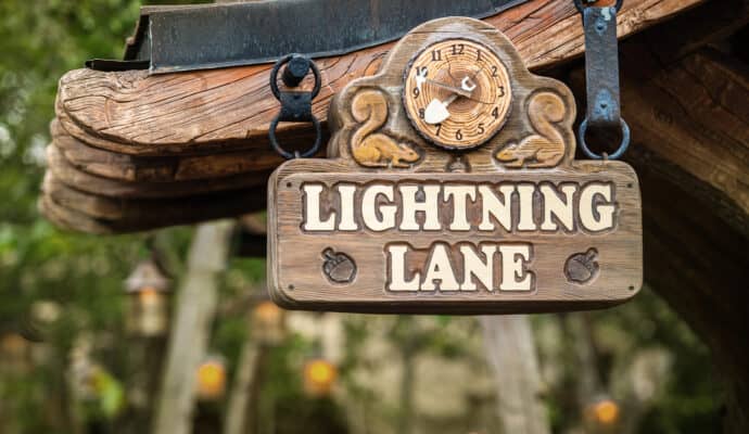 Lightning Lane Entry at Walt Disney World Resort