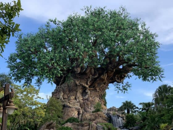 Best Day to Arrive at Disney World - animal kingdom