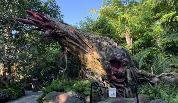 Best Day to Arrive at Disney World - pandora