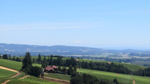 why you should visit oregon wine country this summer - landscape
