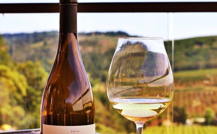 3 Hacks To Make Your Wine Taste Better At Home 3 visit oregon wine country williamette e1681603131461