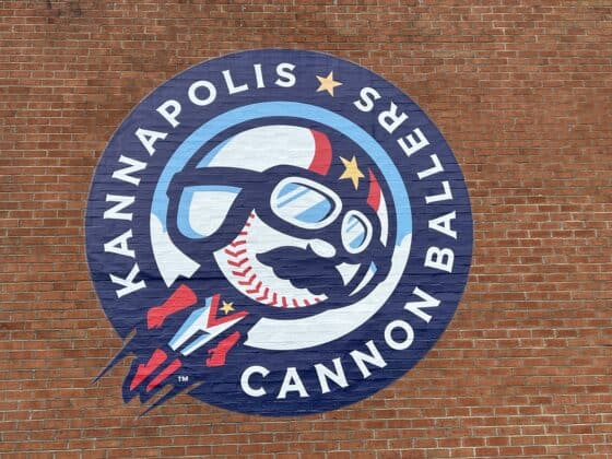 9 Fun Things to Do in Cabarrus County NC Beyond the Race Track - kannapolis cannonballers