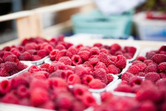 9 Fun Things to Do in Cabarrus County NC Beyond the Race Track - piedmont farmers market