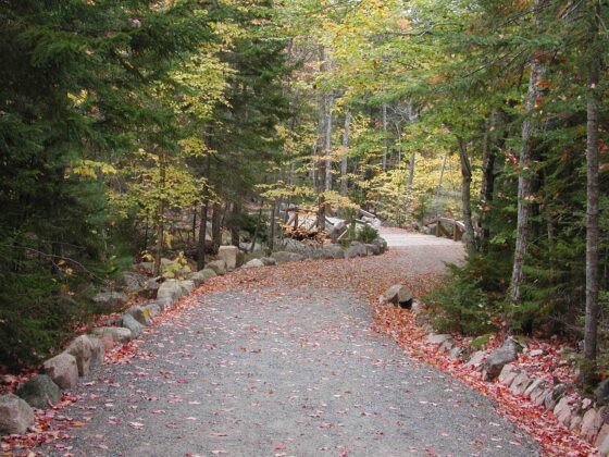 Best Places To Go Camping in the U.S. - acadia national park