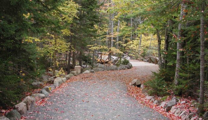 Best Places To Go Camping in the U.S. - acadia national park