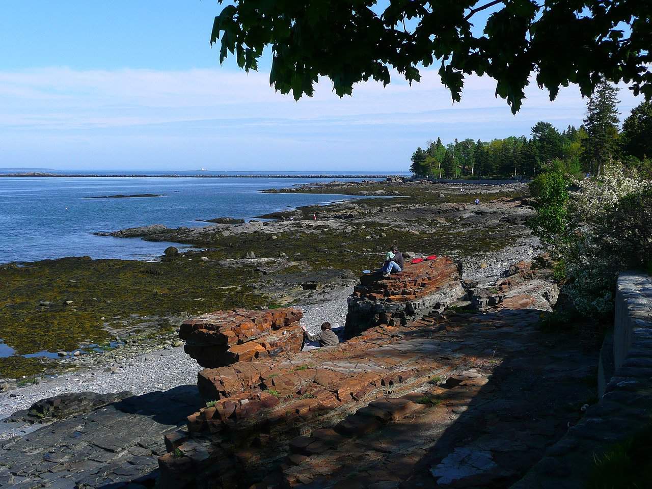 Best Places To Go Camping in the U.S. - acadia national park waterside