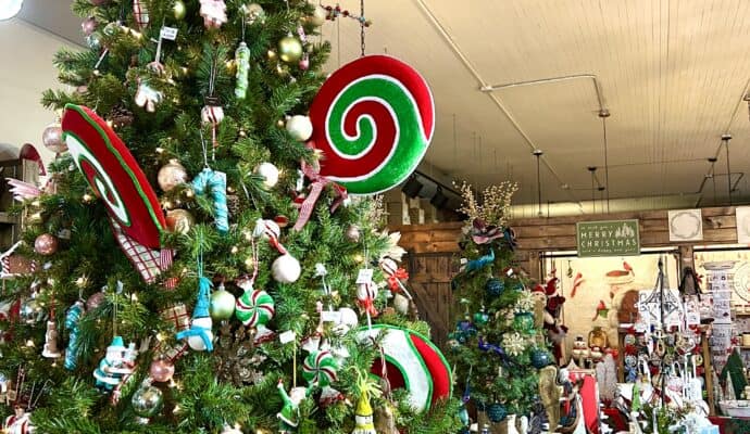 10 Exciting Ideas for a Memorable Cartersville Girls Getaway 2 Cartersville Girls Getaway - downtown cartersville shops