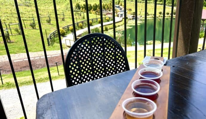 Cartersville Girls Getaway - visit a winery