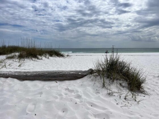 Fun Things to Do on a Pensacola Girls Getaway - fort pickens state park