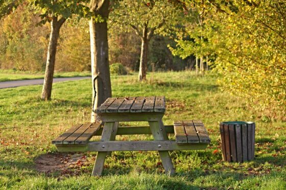 Memorable Cartersville Girls Getaway - picnic in the park