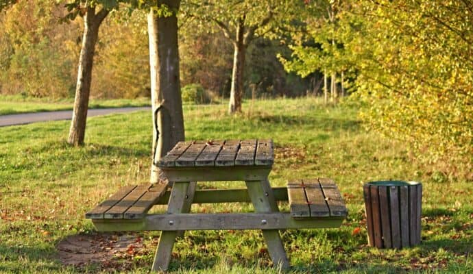 10 Exciting Ideas for a Memorable Cartersville Girls Getaway 10 Memorable Cartersville Girls Getaway - picnic in the park