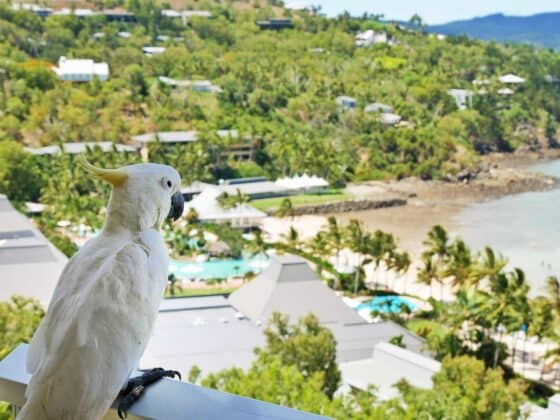 Most Romantic Destinations in the World - hamilton island austrailia