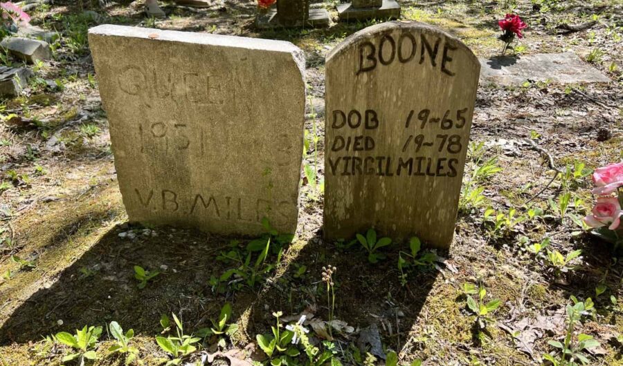 Things to Do in Muscle Shoals - coon dog cemetery
