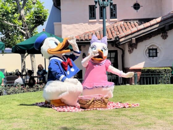 donald and daisy picnic hollywood studios