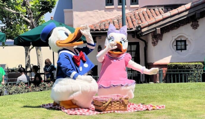 donald and daisy picnic hollywood studios