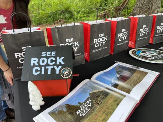 see rock city barns 90th anniversary - birdhouse