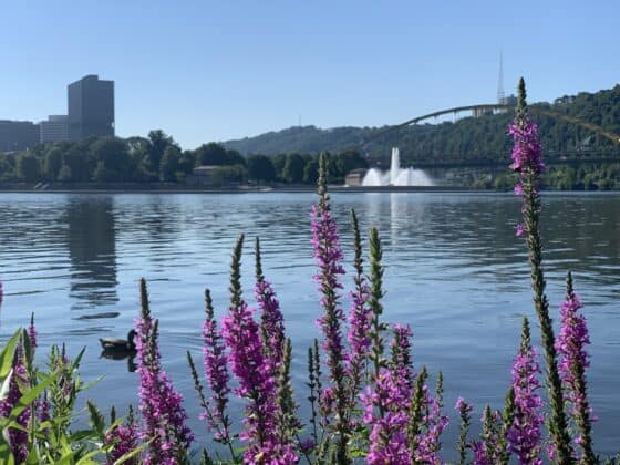 Free Things in Downtown Pittsburgh to Do Right Now - North Shore Riverfront Park
