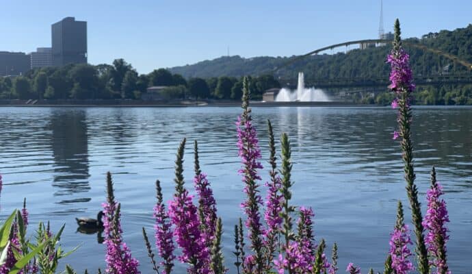 Free Things in Downtown Pittsburgh to Do Right Now - North Shore Riverfront Park
