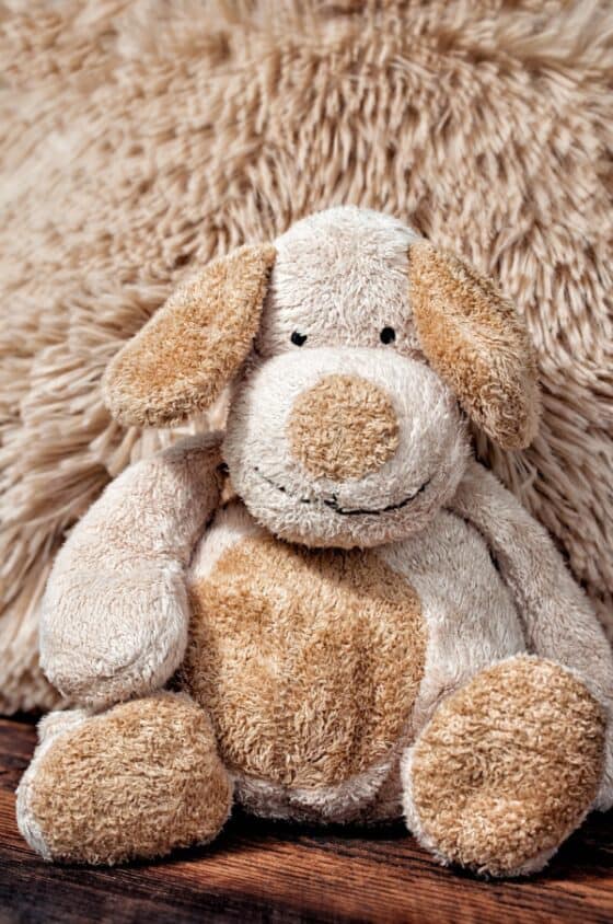 Here are 8 Pesky Hidden Allergens in the Home - stuffed animals