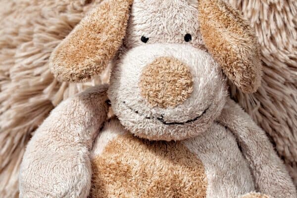 Here are 8 Pesky Hidden Allergens in the Home - stuffed animals