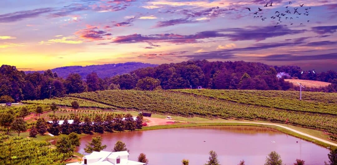 Best West Coast Destinations To Spend Your Anniversary - napa valley sunset