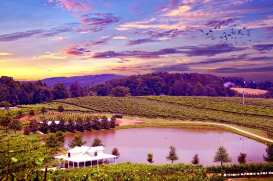 Best West Coast Destinations To Spend Your Anniversary - napa valley sunset