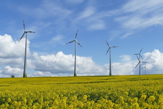 Energy Mix Matters Now More Than Ever - wind turbines