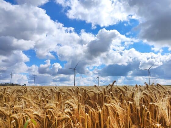 Energy Mix Matters Now More Than Ever - wind turbines us energy