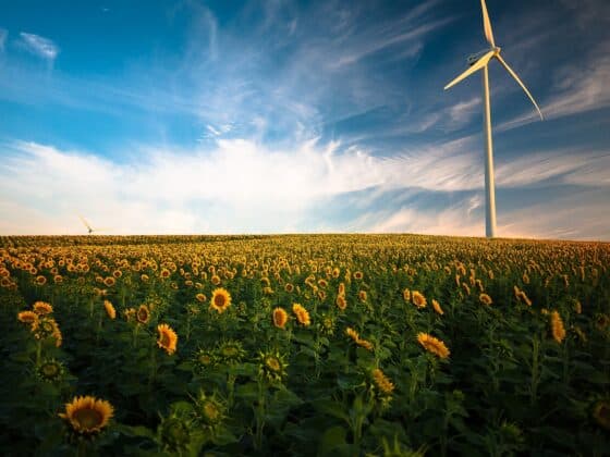 Energy Mix Matters Now More Than Ever - windmill