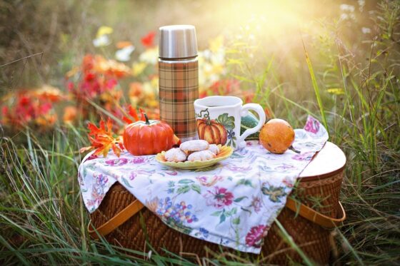 Fun Things To Do While Enjoying the Outdoors - go on a picnic